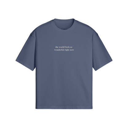 heaven and earth / gojo satoru / jujutsu kaisen / oversized tshirt - Kaishi